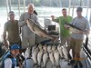 (07/22/2017) - Nice Striped Bass